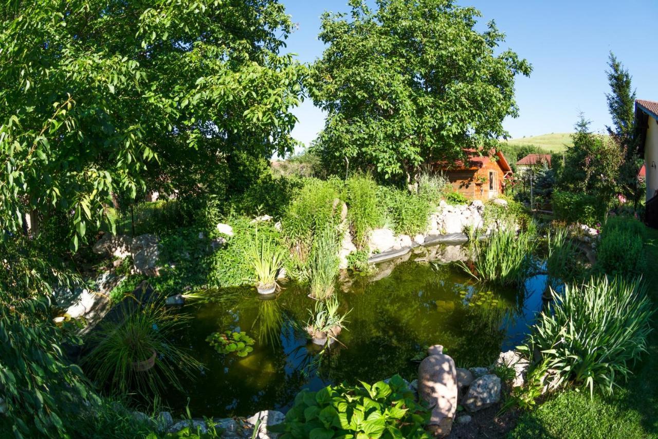 Hotel Bielmann Sînpetru Zewnętrze zdjęcie