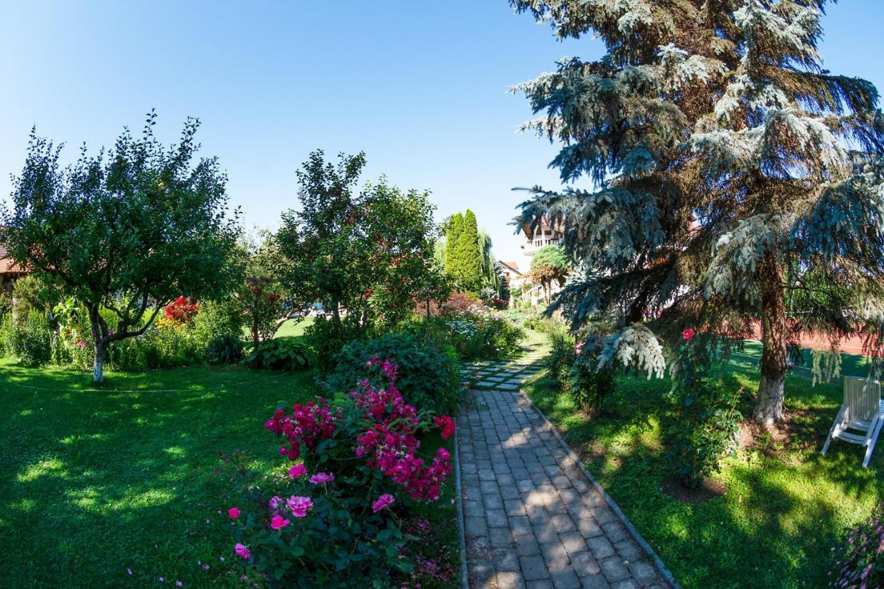 Hotel Bielmann Sînpetru Zewnętrze zdjęcie