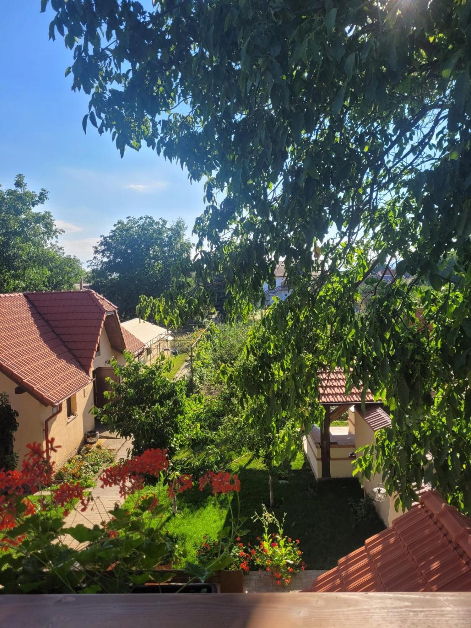 Hotel Bielmann Sînpetru Zewnętrze zdjęcie