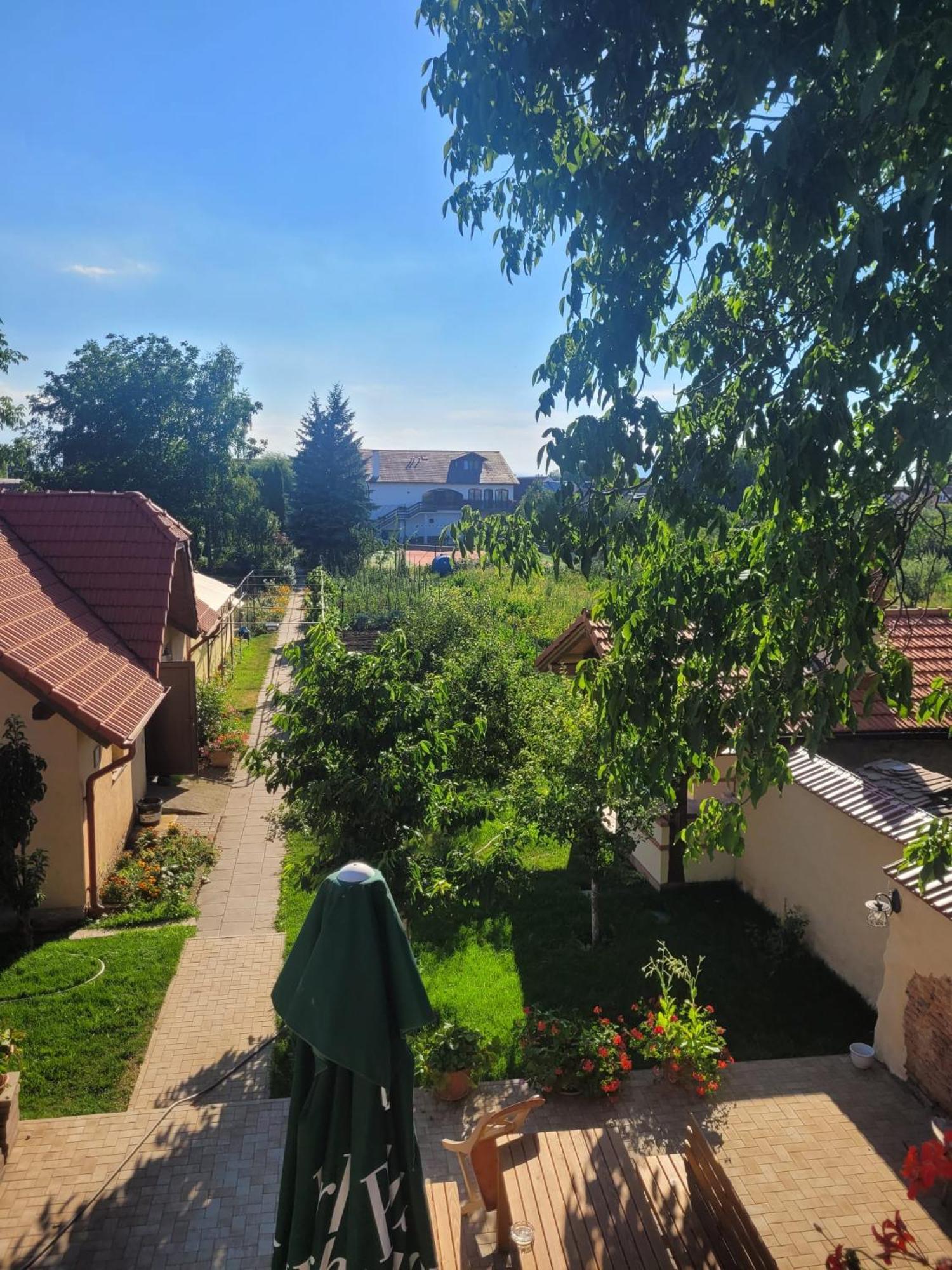Hotel Bielmann Sînpetru Zewnętrze zdjęcie